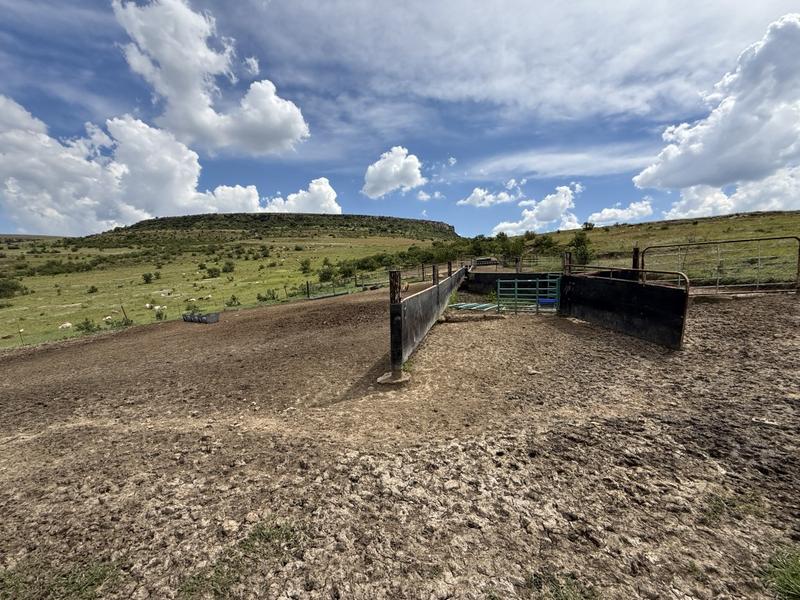 0 Bedroom Property for Sale in Harrismith Free State